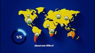 The Four Pillars and the Empty Plate | Infographoics